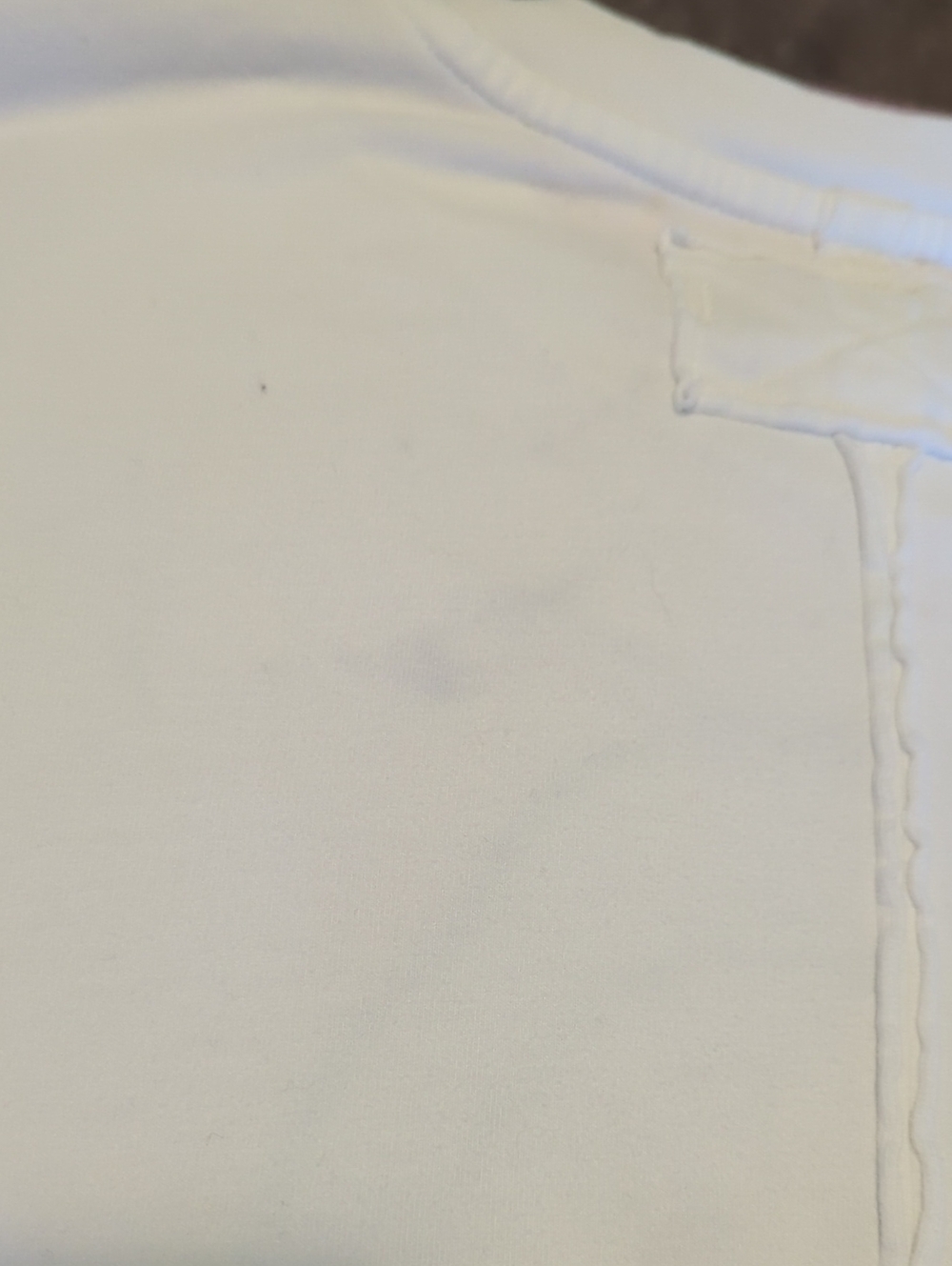 Tricia Fix x Free Peopy Eyelet Animal Tee Swan - Picture 6 of 7
